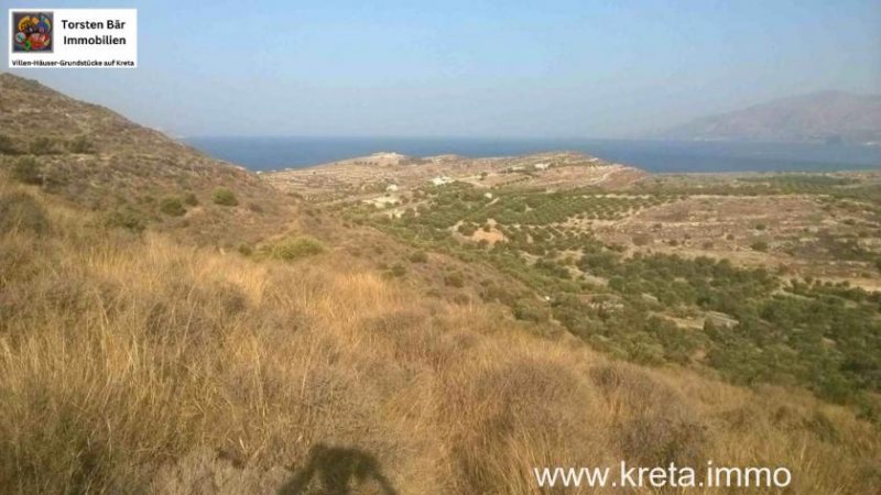 Kamilari Süd Kreta; Kamilari Grundstück mit Meerblick 10.000m² Grundstück kaufen